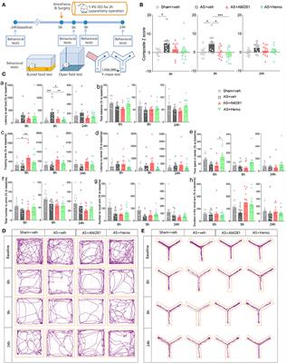 Endocannabinoid signaling regulates post-operative delirium through glutamatergic mediodorsal thalamus-prelimbic prefrontal cortical projection